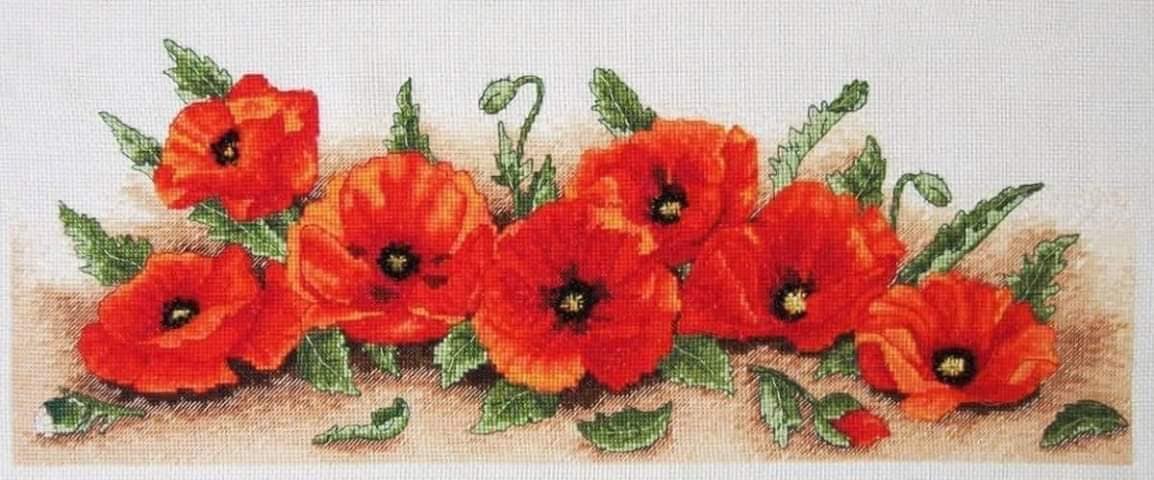 stupendo kit punto croce papaveri include tutto 35 matassine mouline DMC, schema e tela misura 20x47cm
